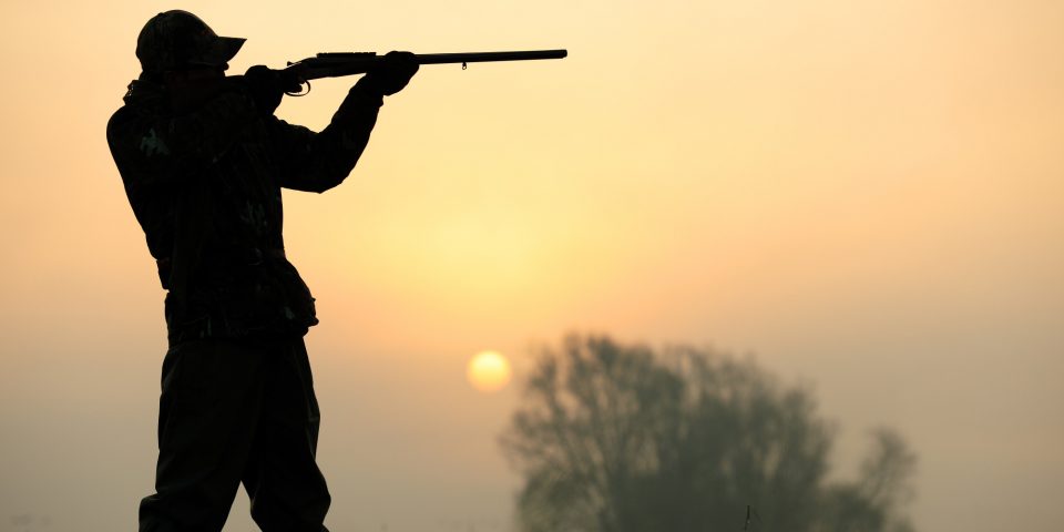 Ловџија повреден за време на лов во Мариово