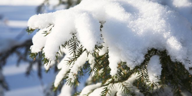 Управувачкиот комитет за кризи со препораки за новите снежни врнежи