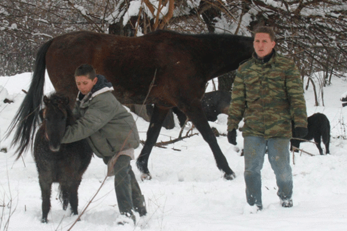 Снежно невреме ја парализираше Грција