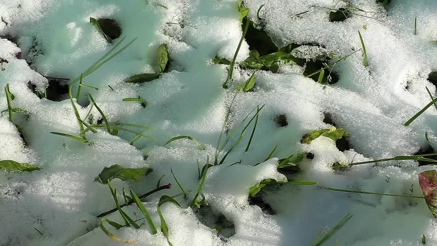 Натпросечните температури за овој период го стопија снегот во Лазарополе, Маврово и Крушево