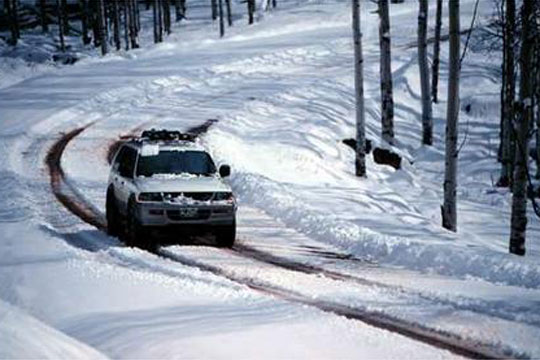 Tрет ден отсечени 250 жители од две села во Ранковце поради снегот