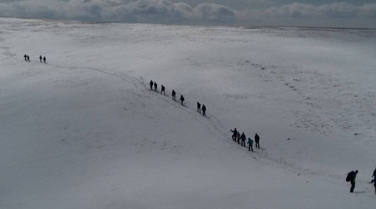 Стотина планинарки и планинари се искачија на Димев Врв на Пелистер