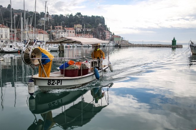 „Бурни води“ во Пиранскиот залив: Словенечки рибари ги добија првите казни од Хрватска