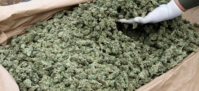 Конфискувана марихуана вредна 15 милиони евра