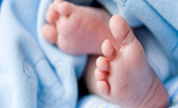 Филипче: Од 26% на 8% намалена смртноста на предвреме родените бебиња