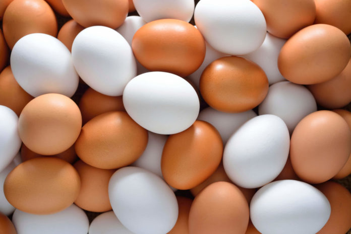 Утре одлука за ограничен извоз на јајцата