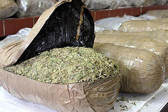 Албанската полиција заплени над 400 килограми марихуана