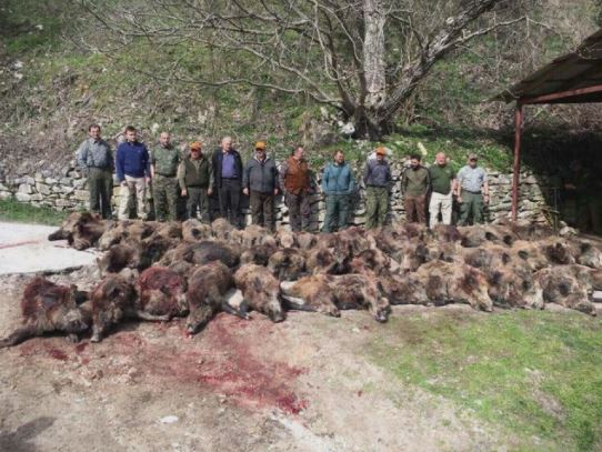 Нетпрес: Поранешни политичари масакрирале дивеч во Јасен