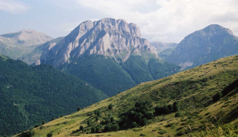 Трибина за заштита на Шар Планина