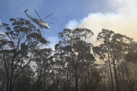 Стотици пожарникари се борат со огнена стихија близу Сиднеј