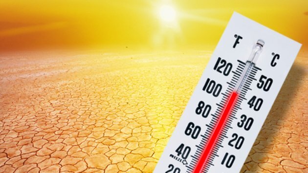 ПОРТОКАЛОВА ФАЗА: Продолжуваат мерките за заштита од топлотен бран