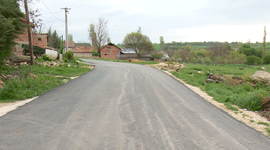 Се уредува зеленилото на патот кон Горно Нерези