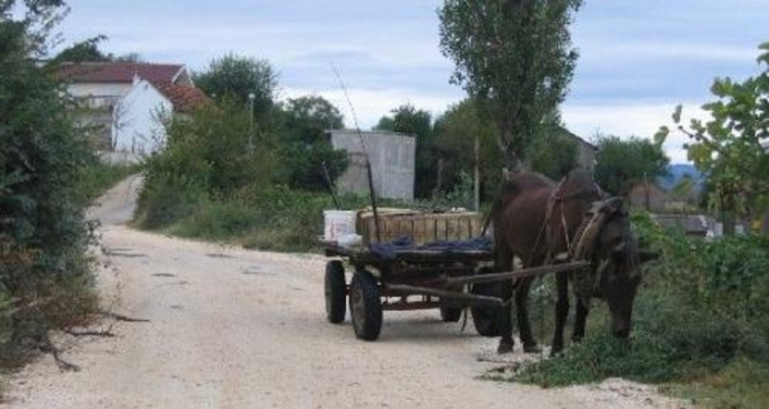 Двајца тинејџери тешко повредени, џип удри во нивната запрежна кола