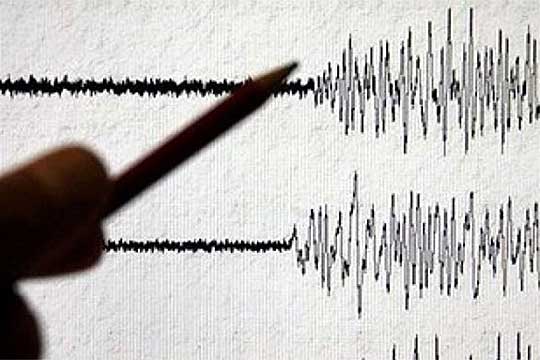 Земјотрес ги вознемири скопјани