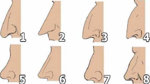 Обликот на вашиот нос открива многу за вас- погледнете
