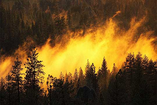 Пожарникари се борат со пожар на Крит