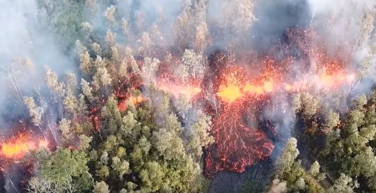 Големи шумски пожари ги пустошат Хаваи