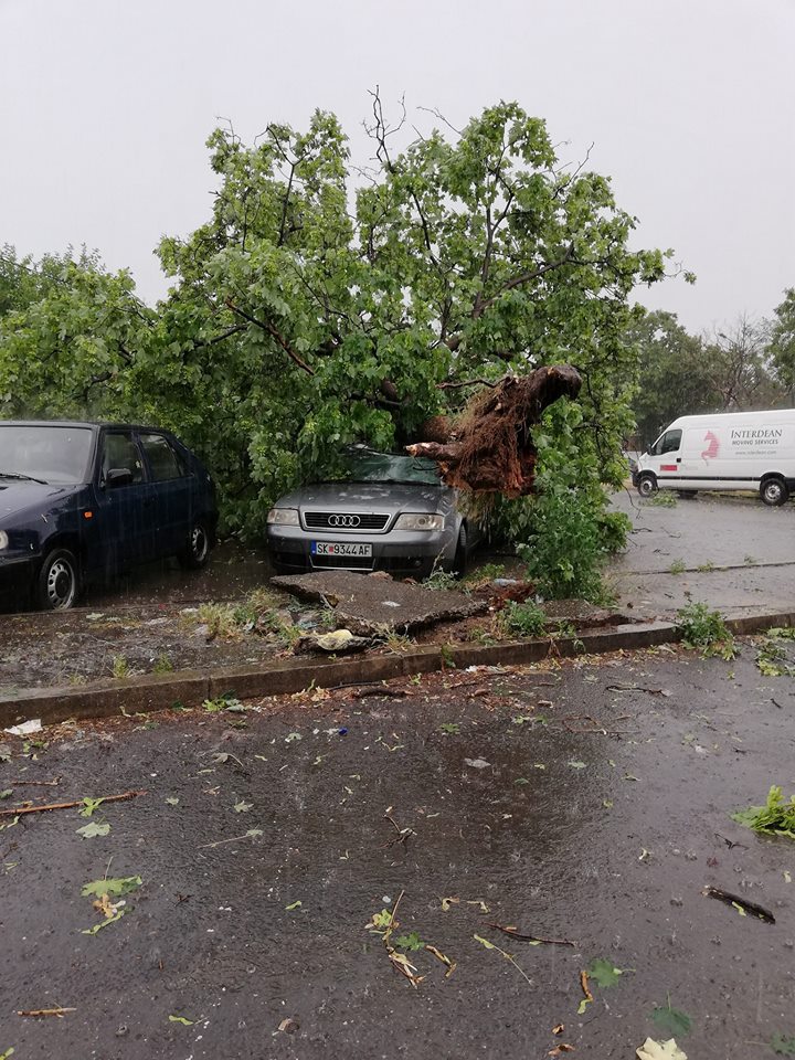 Скопје поплавено, оштетени автомобили, надлежните без соодветна реакција по силното невреме (ФОТО)