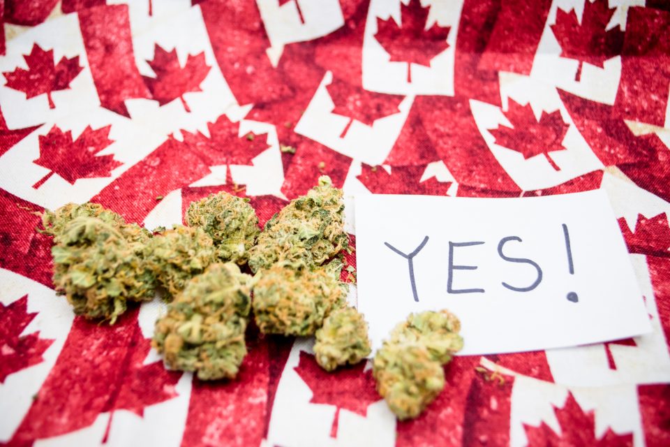 Канадскиот Сенат ја легализира марихуаната
