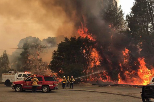 Втора жртва во шумските пожари во Калифорнија: Загина пожарникар