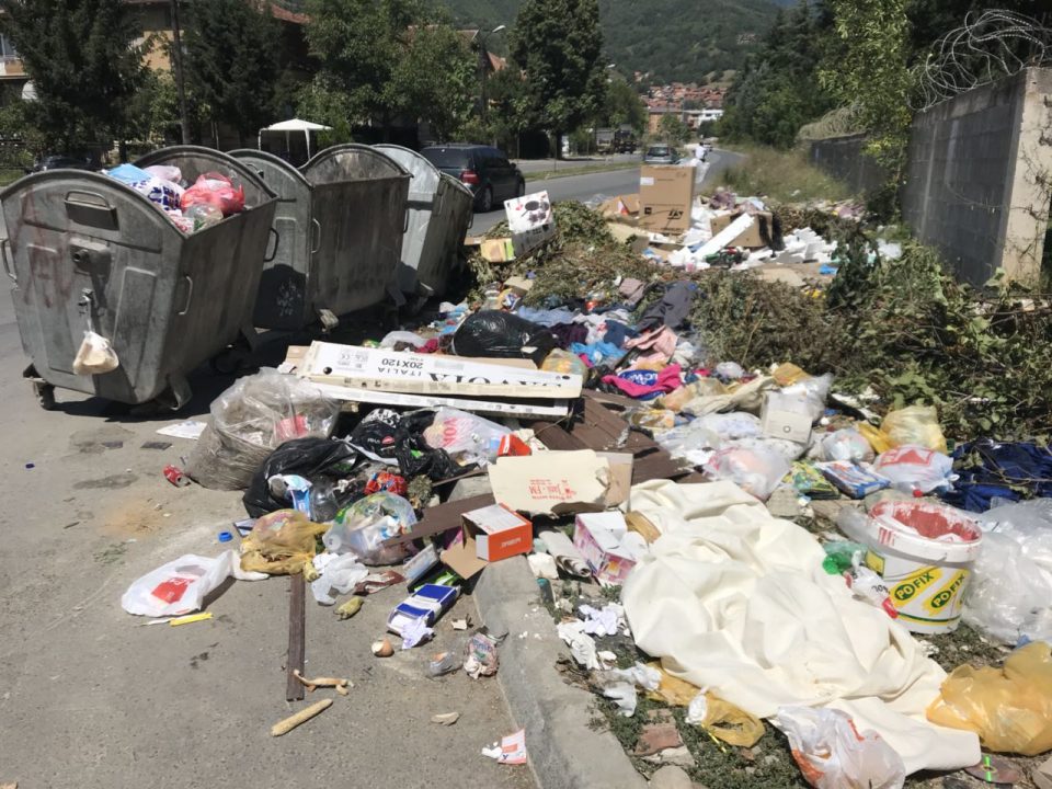 ФОТО: Тетово во екот на летната сезона тоне во ѓубре, граѓаните стравуваат од ширење на заразни болести