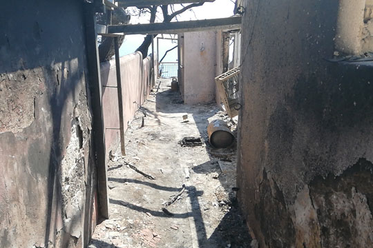 Идентификувани 85 жртви од пожарите во Грција, едно лице се води за исчезнато
