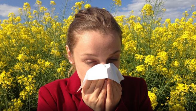 Имате алергија или сте настинати: Како да препознаете разлика?