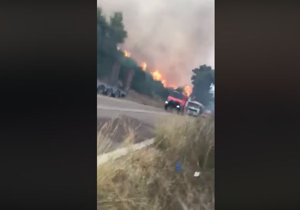 ВИДЕО од новиот голем пожар во Грција