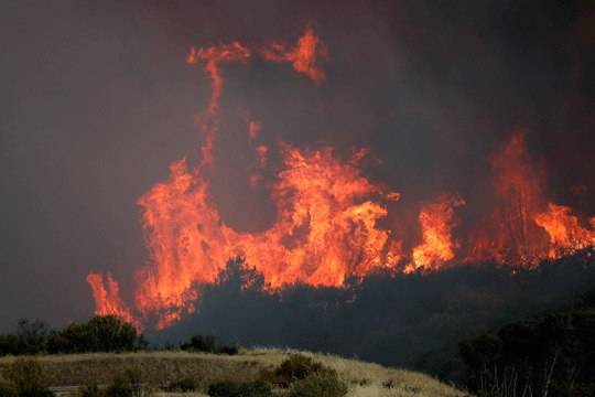 Пожар во Делчево: Гореше борова шума кај месноста Брежје