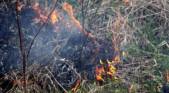 Пожар кај Скопската обиколница, зафатена површина од пет хектари