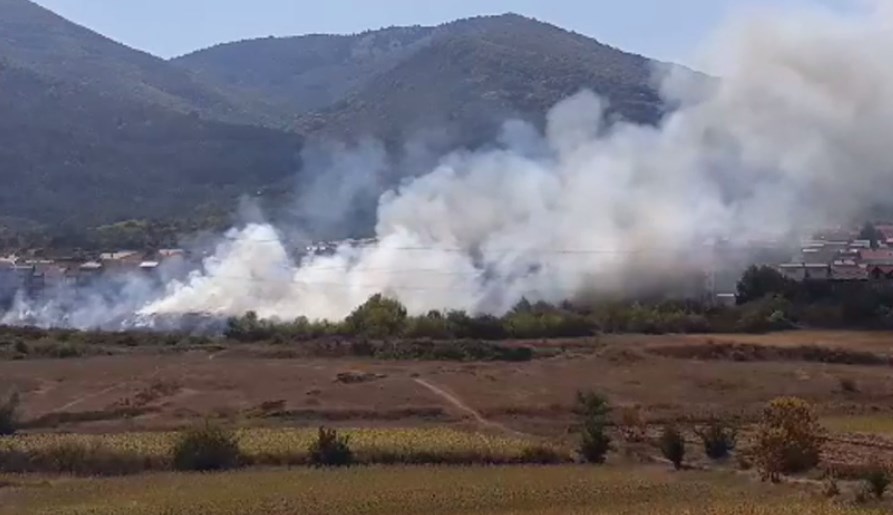 ВИДЕО: Пожар во Битола