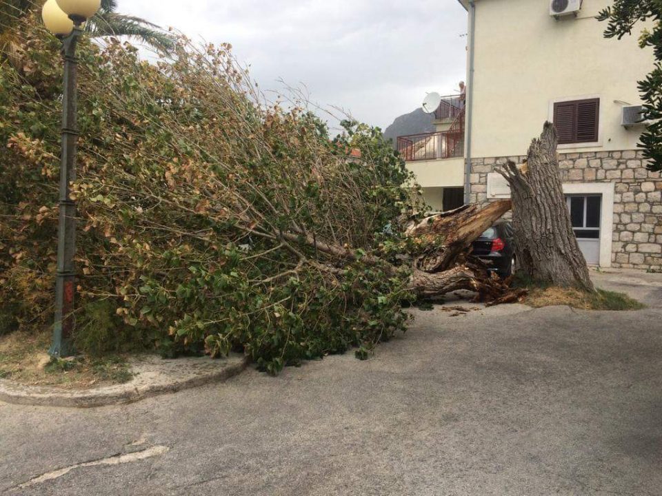 Оркански удари на ветрот на подрачјето на Сплит корнат дрва