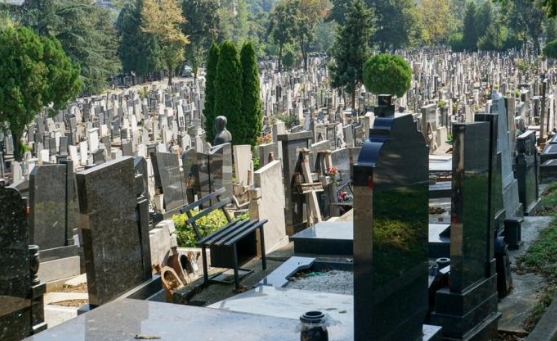 УКРАЛ „ПЕЖО“ И СО НЕГО СЕ ЗАБИЛ ВО НАДГРОБНА ПЛОЧА – вистинска драма на гробиштата во овој македонски град!