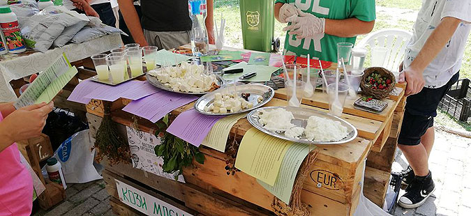 Дегустација, едукација и забава на Фестивалот на органска храна во Градски парк