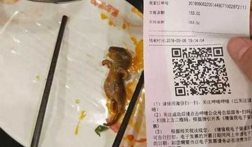 УЖАС: Бремена жена нашла мртов стаорец во супа, од тоа што и го понуди ресторанот ќе се шокирате (ФОТО)