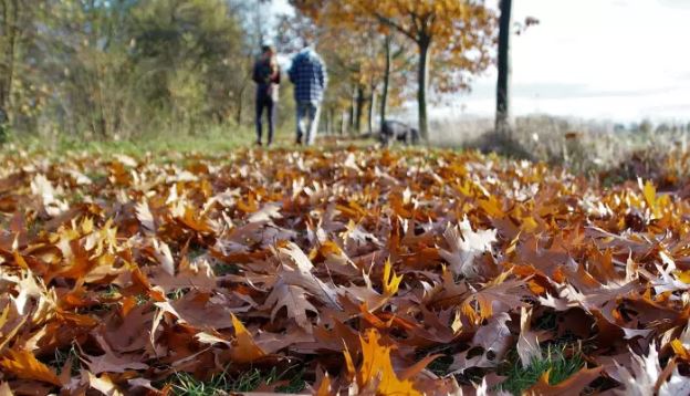 Брзото одење е најдобро за витка линија