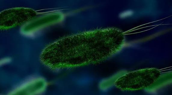 Бактеријата која живее на кожата на секој од нас станува отпорна на лекови, во овие случаи може да биде фатална
