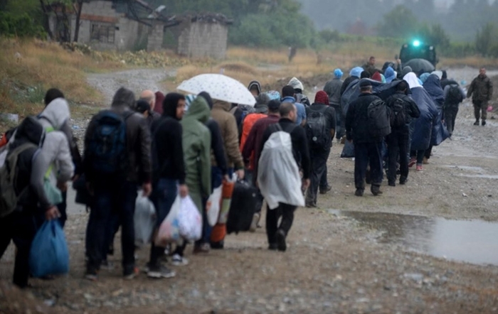 Албанија: Годинава азил побарале 4.095 Сиријци