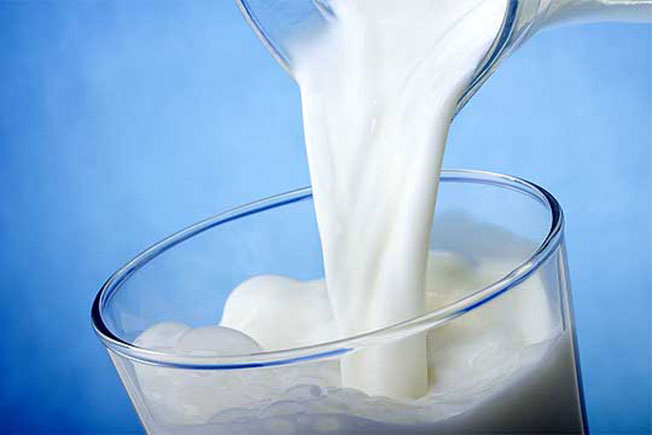 Исплатени субвенции за произведено и предадено млеко
