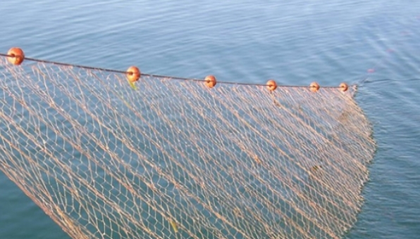 Повторно пронајдени и одземени рибарски мрежи во Охрид