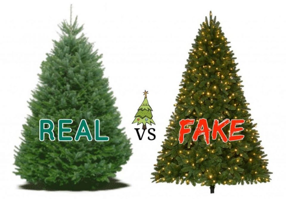 Факти за Божик: Секоја година 30 до 35 милиони вистински божикни дрва се продаваат само во САД