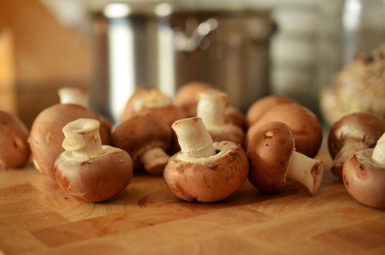 Истражување: Печурките го забавуваат стареењето