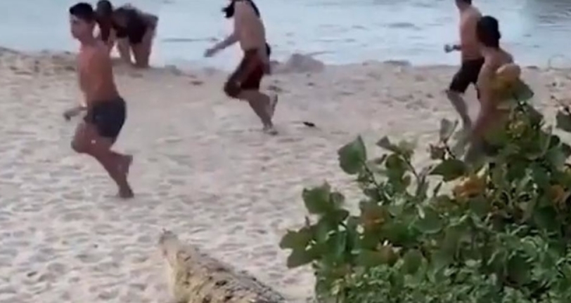 Големо изненадување на популарната плажа: Од грмушка излезе голем ѕвер, сите се разбегаа во паника (ВИДЕО)