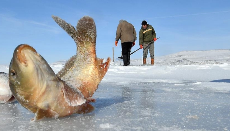 Турски рибари во зима ловат риби како Ескимите