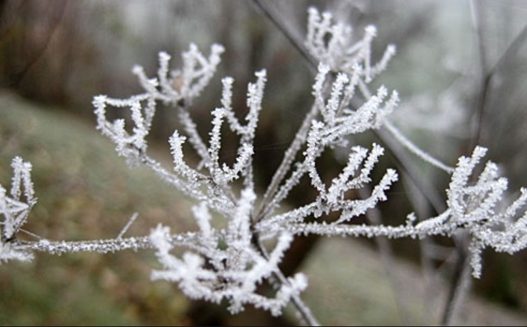 Минусни температури на повеќе места во Македонија, во овој град утрово е најстудено