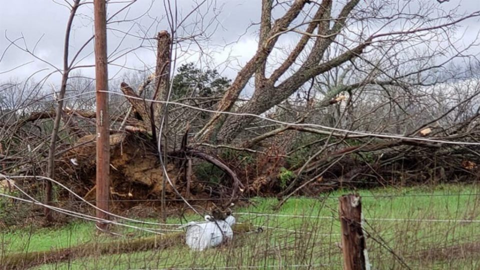 Најмалку 23 жртви во торнадо во Алабама (ВИДЕО)