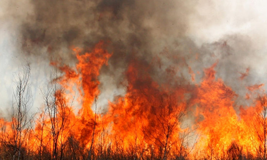 Голем шумски пожар на грчкиот остров 