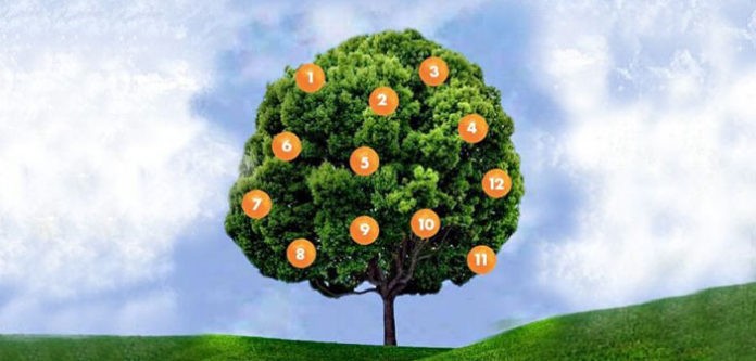 Дрво на желбите: Изберете плод и дознајте дали ќе се исполни вашата желба