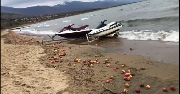 ЛУЃЕТО ВО ПРЕСПА ВО ОЧАЈ: Ги фрлаат јаболката во езеро бидејќи нема каде да ги продадат- власта глува за нивниот проблем