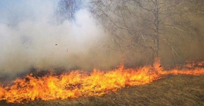 Активен пожарот на грчкиот остров- евакуирани жители, 5 лица во болница